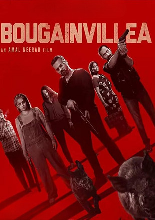 Bougainvillea (2024) – Complete Review