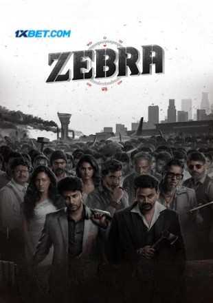 Zebra (2024)