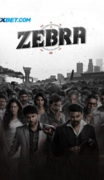 Zebra (2024)