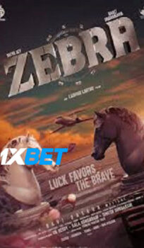Zebra (2024)