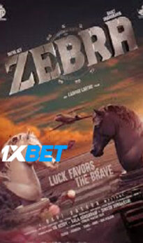 Zebra (2024)